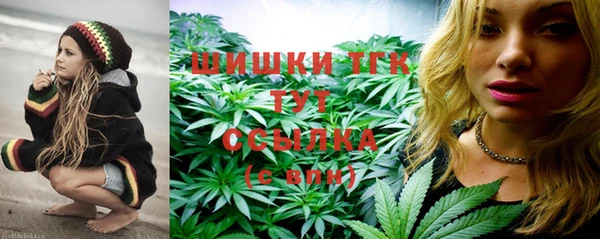 PSILOCYBIN Горняк