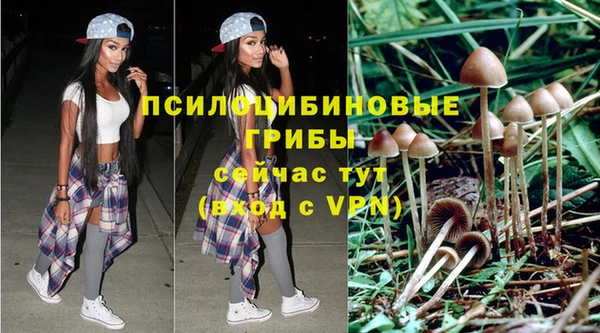 стаф Абинск