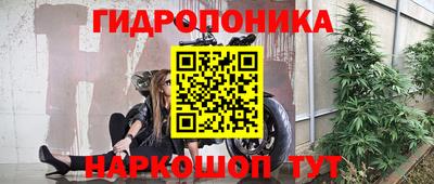 jwh Кимры