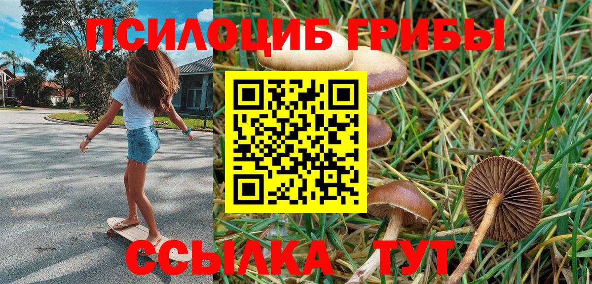 Галлюциногенные грибы прущие грибы Кандалакша