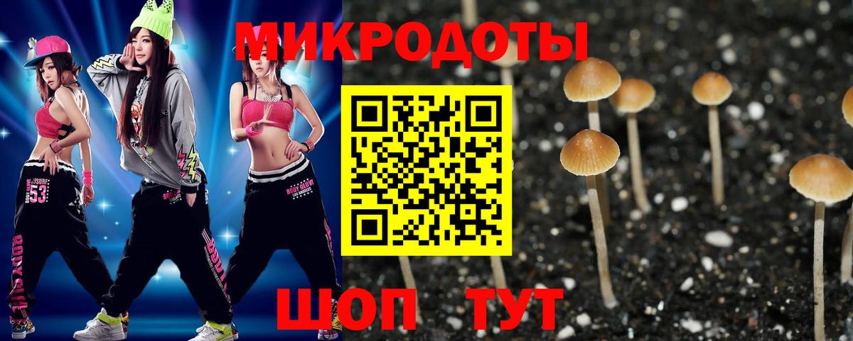 Кандалакша  Галлюциногенные грибы Psilocybe  Вход с VPN 